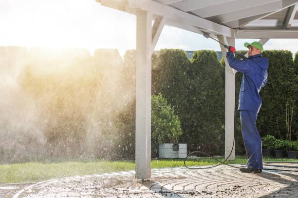 Best Sidewalk and Walkway Cleaning  in Waterloo, IN