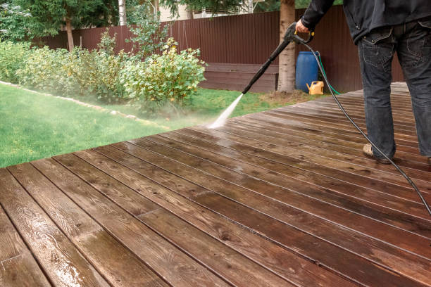 Best Gutter Cleaning  in Waterloo, IN