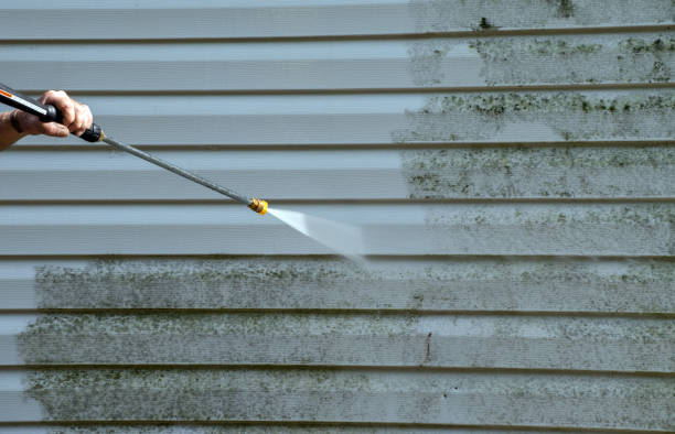 Best Roof Washing  in Waterloo, IN